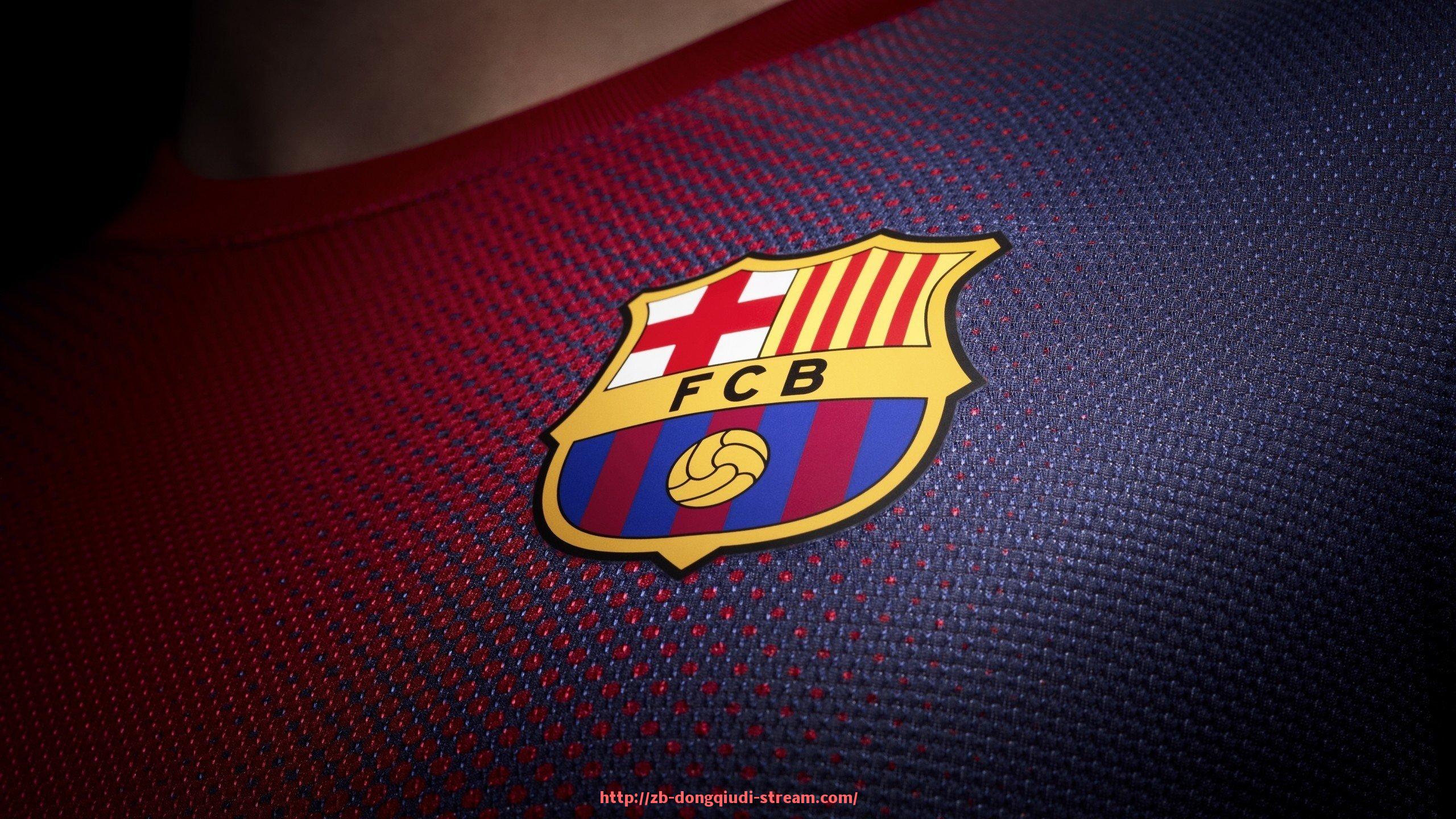 懂球帝直播-美国CBA球员在联赛中的适应与突破历程